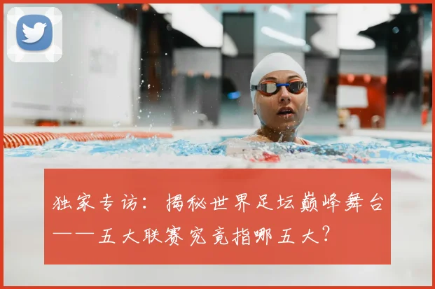 独家专访：揭秘世界足坛巅峰舞台——五大联赛究竟指哪五大？